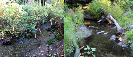 reddmarkerslyonssmaller4