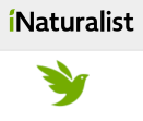 iNat
